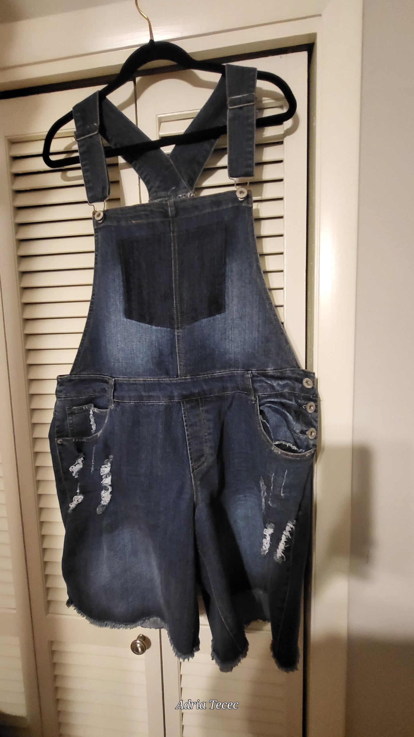 Denim Overall - Blue